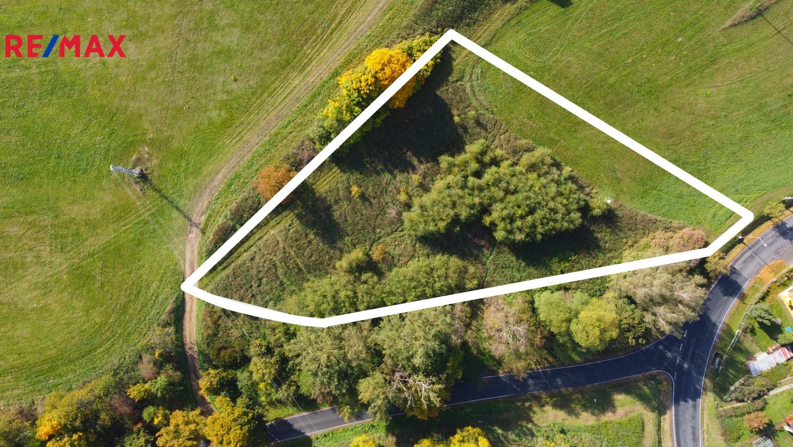 Prodej pozemku pro bydlení, 3965 m2, Planá