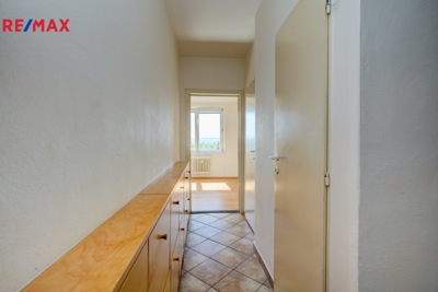 2991181.jpg
