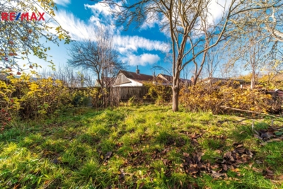 3076175.jpeg 3076175.jpeg