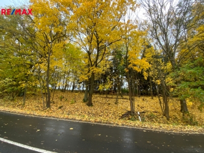 REMAX Delux REMAX Delux