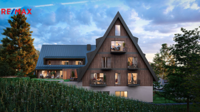 REMAX Delux REMAX Delux