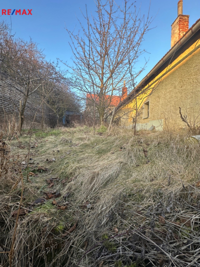 2645848.jpeg 2645848.jpeg