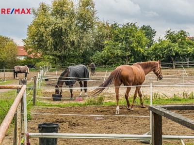 3032857.jpg 3032857.jpg