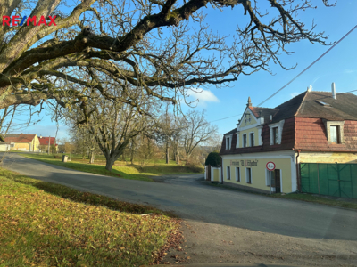 REMAX Delux REMAX Delux