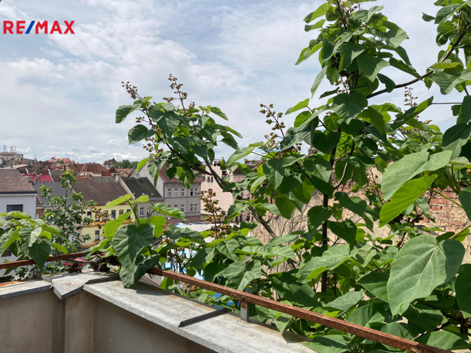 2846954.jpeg 2846954.jpeg