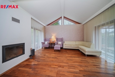 REMAX Delux REMAX Delux