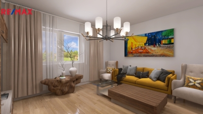 REMAX Delux