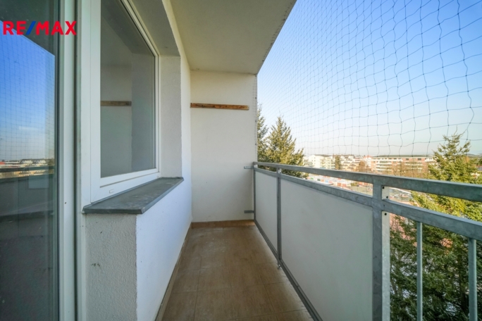 3173037.jpeg 3173037.jpeg