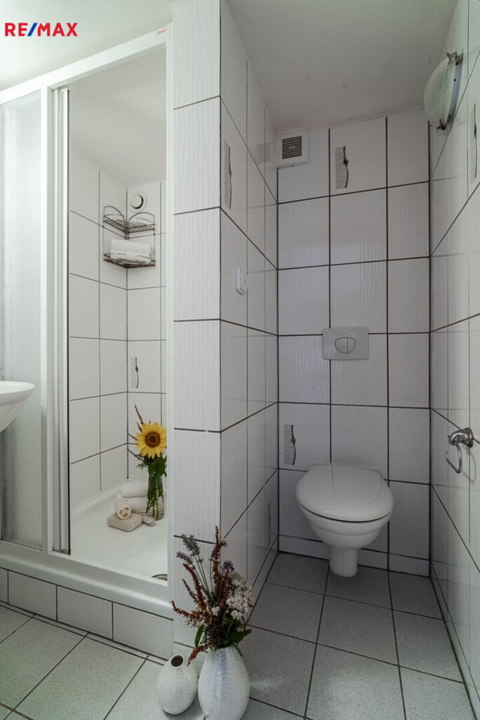 Prodej vinného sklepa, Prušánky - obrázek 25