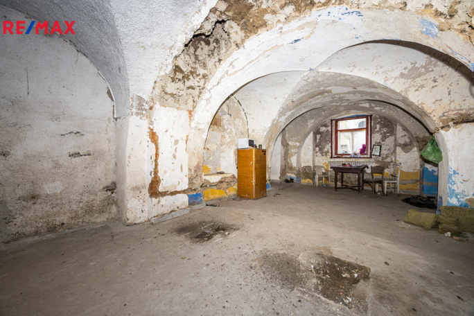 REMAX Delux REMAX Delux