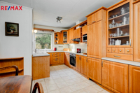 REMAX Delux