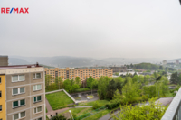 2770852.jpg