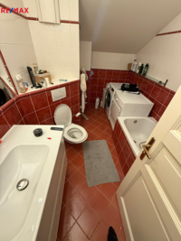REMAX Delux