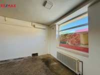 REMAX Delux