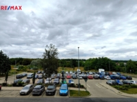 2930981.jpg