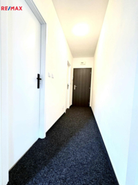 REMAX Delux