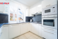 REMAX Delux
