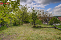 REMAX Delux