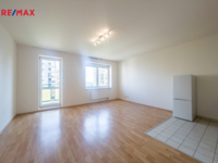 REMAX Delux