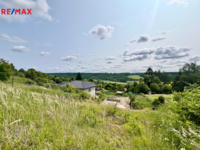 REMAX Delux