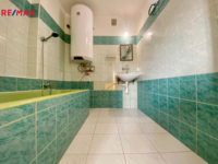 REMAX Delux