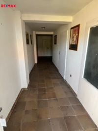 2942681.jpg