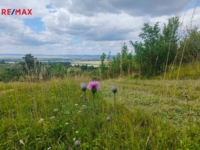 REMAX Delux