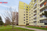 REMAX Delux