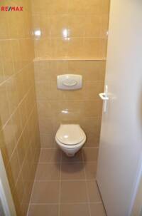 REMAX Delux