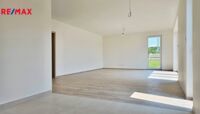 REMAX Delux