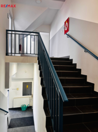 REMAX Delux