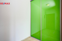 REMAX Delux