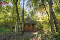 REMAX Brno