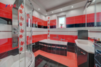 REMAX Delux