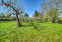 REMAX Brno
