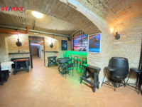REMAX Delux