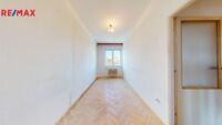 REMAX Delux
