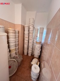 2904354.jpg