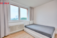REMAX Delux