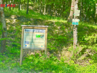 2770520.jpg
