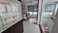 REMAX Delux