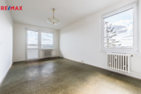 REMAX Delux