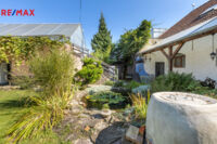 REMAX Delux