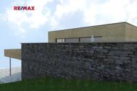 REMAX Delux