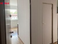 REMAX Delux