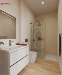 REMAX Delux