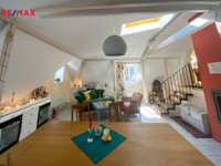 REMAX Delux
