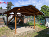 REMAX Delux
