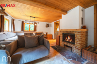 REMAX Delux
