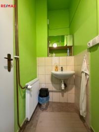 REMAX Delux